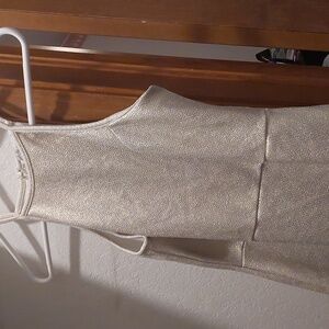 Charlotte Russ dress